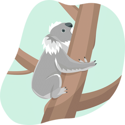 monthly done-for-you blog content represented by a koala climbing a tree
