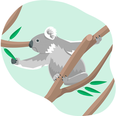 illustration of a koala reaching for eucalyptus leaves