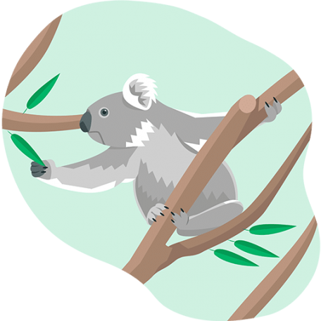 kr-pricing-reach illustration of a koala reaching for eucalyptus leaves